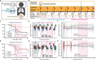 Distinct Functional Metagenomic Markers Predict the Responsiveness to Anti-PD-1 Therapy in Chinese Non-Small Cell Lung Cancer Patients